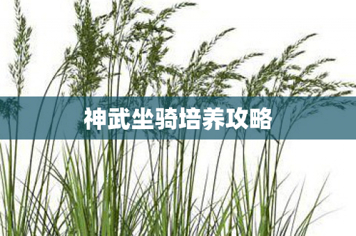 神武坐骑培养攻略 神武坐骑培养攻略