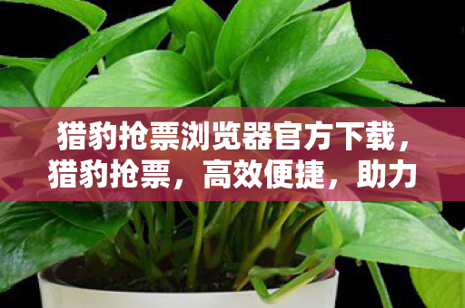 猎豹抢票浏览器官方下载,猎豹抢票,高效便捷,助力春运回家路 猎豹抢票浏览器官方下载,猎豹抢票,高效便捷,助力春运回家路