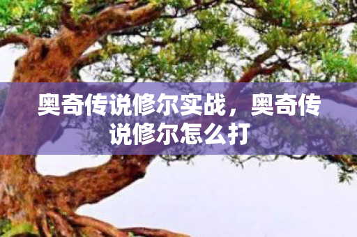 奥奇传说修尔实战,奥奇传说修尔怎么打 奥奇传说修尔实战,奥奇传说修尔怎么打
