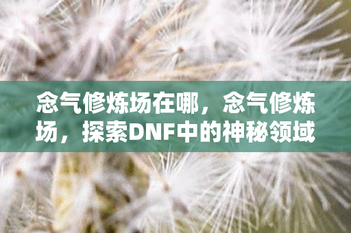 念气修炼场在哪,念气修炼场,探索DNF中的神秘领域 念气修炼场在哪,念气修炼场,探索DNF中的神秘领域
