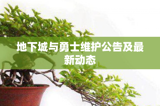 地下城与勇士维护公告及最新动态 地下城与勇士维护公告及最新动态