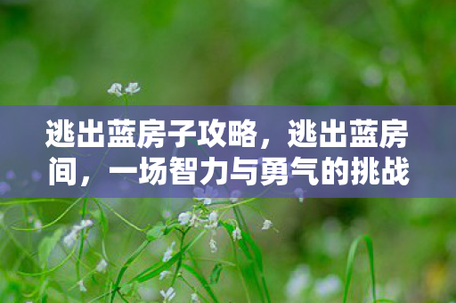 逃出蓝房子攻略,逃出蓝房间,一场智力与勇气的挑战 逃出蓝房子攻略,逃出蓝房间,一场智力与勇气的挑战