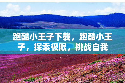 跑酷小王子下载，跑酷小王子，探索极限，挑战自我