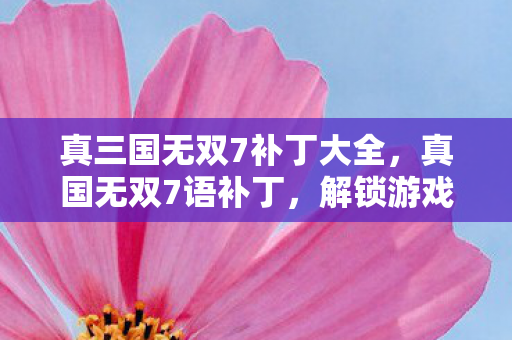 真三国无双7补丁大全,真国无双7语补丁,解锁游戏新世界的钥匙 真三国无双7补丁大全,真国无双7语补丁,解锁游戏新世界的钥匙
