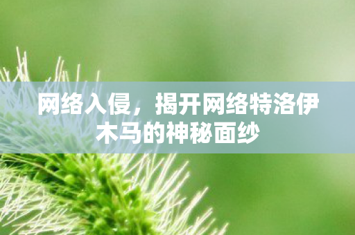 网络入侵,揭开网络特洛伊木马的神秘面纱 网络入侵,揭开网络特洛伊木马的神秘面纱
