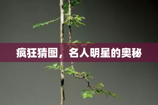 疯狂猜图,名人明星的奥秘 疯狂猜图,名人明星的奥秘