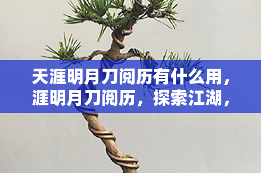 天涯明月刀阅历有什么用,涯明月刀阅历,探索江湖,提升自我 天涯明月刀阅历有什么用,涯明月刀阅历,探索江湖,提升自我