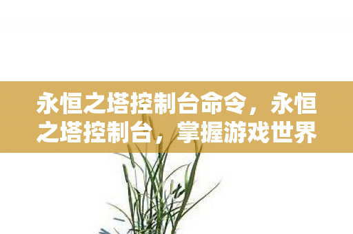 永恒之塔控制台命令,永恒之塔控制台,掌握游戏世界的钥匙 永恒之塔控制台命令,永恒之塔控制台,掌握游戏世界的钥匙