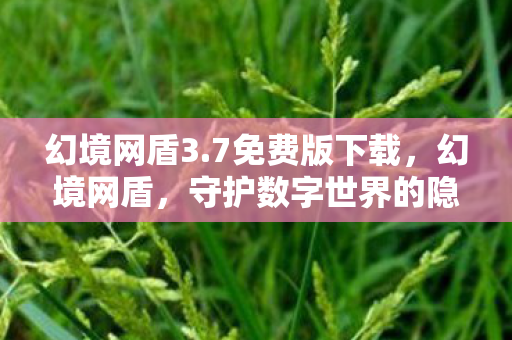 幻境网盾3.7免费版下载,幻境网盾,守护数字世界的隐形盾牌 幻境网盾3.7免费版下载,幻境网盾,守护数字世界的隐形盾牌