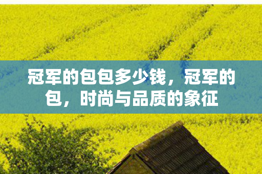 冠军的包包多少钱,冠军的包,时尚与品质的象征 冠军的包包多少钱,冠军的包,时尚与品质的象征