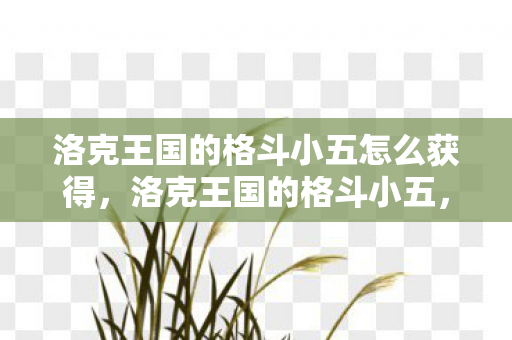 洛克王国的格斗小五怎么获得,洛克王国的格斗小五,挑战与成长之路 洛克王国的格斗小五怎么获得,洛克王国的格斗小五,挑战与成长之路