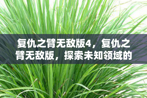 复仇之臂无敌版4，复仇之臂无敌版，探索未知领域的终极挑战