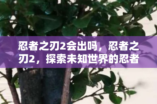 忍者之刃2会出吗，忍者之刃2，探索未知世界的忍者传奇
