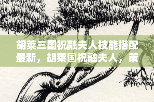 胡莱三国祝融夫人技能搭配最新,胡莱国祝融夫人,策略与智慧的化身 胡莱三国祝融夫人技能搭配最新,胡莱国祝融夫人,策略与智慧的化身