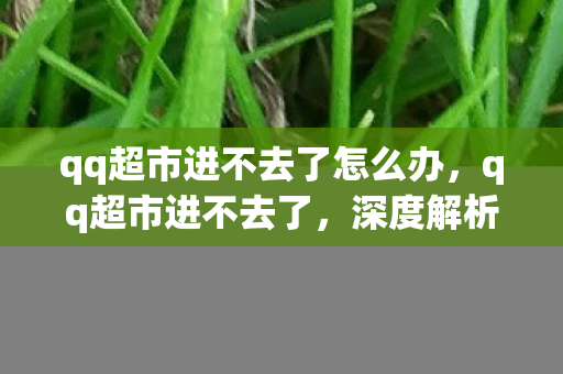 qq超市进不去了怎么办,qq超市进不去了,深度解析背后的原因与解决方案 qq超市进不去了怎么办,qq超市进不去了,深度解析背后的原因与解决方案
