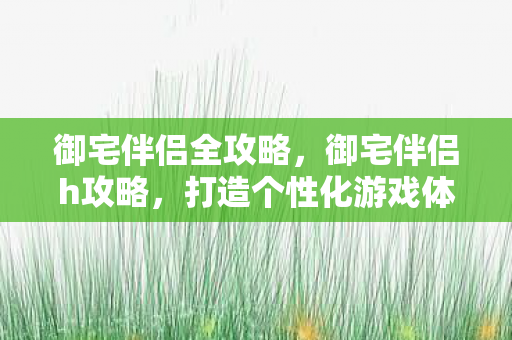 御宅伴侣全攻略,御宅伴侣h攻略,打造个性化游戏体验的全方位指南 御宅伴侣全攻略,御宅伴侣h攻略,打造个性化游戏体验的全方位指南