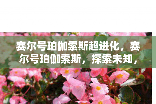 赛尔号珀伽索斯超进化,赛尔号珀伽索斯,探索未知,挑战极限 赛尔号珀伽索斯超进化,赛尔号珀伽索斯,探索未知,挑战极限