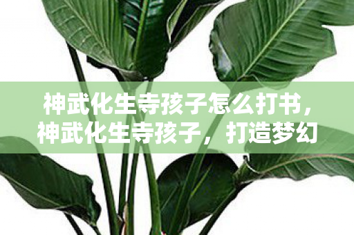 神武化生寺孩子怎么打书，神武化生寺孩子，打造梦幻西游中的佛系小僧