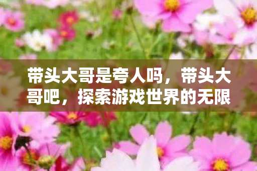 带头大哥是夸人吗,带头大哥吧,探索游戏世界的无限可能 带头大哥是夸人吗,带头大哥吧,探索游戏世界的无限可能