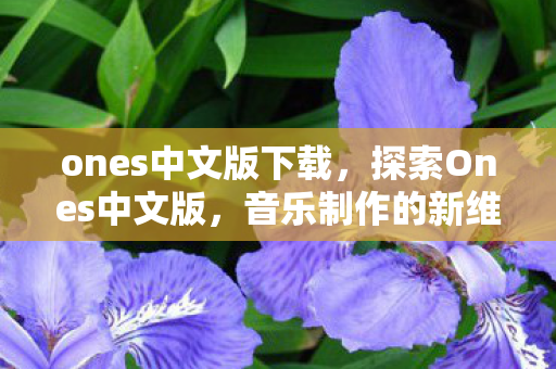 ones中文版下载,探索Ones中文版,音乐制作的新维度 ones中文版下载,探索Ones中文版,音乐制作的新维度