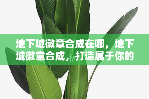 地下城徽章合成在哪,地下城徽章合成,打造属于你的荣耀徽章 地下城徽章合成在哪,地下城徽章合成,打造属于你的荣耀徽章