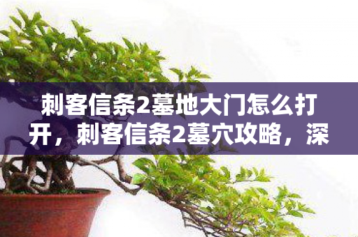 刺客信条2墓地大门怎么打开，刺客信条2墓穴攻略，深入古墓，揭秘宝藏