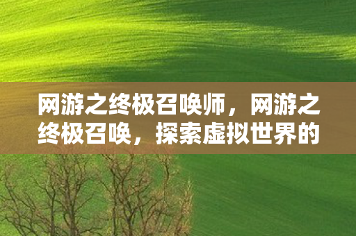 网游之终极召唤师,网游之终极召唤,探索虚拟世界的无限可能 网游之终极召唤师,网游之终极召唤,探索虚拟世界的无限可能