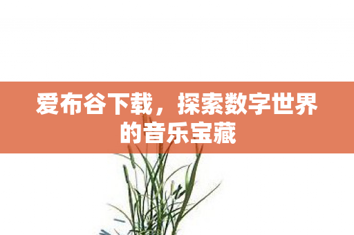 爱布谷下载,探索数字世界的音乐宝藏 爱布谷下载,探索数字世界的音乐宝藏