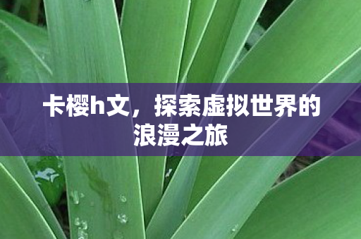 卡樱h文,探索虚拟世界的浪漫之旅 卡樱h文,探索虚拟世界的浪漫之旅
