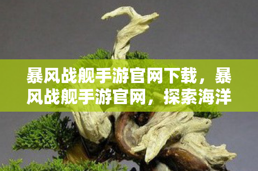 暴风战舰手游官网下载,暴风战舰手游官网,探索海洋,征服无限 暴风战舰手游官网下载,暴风战舰手游官网,探索海洋,征服无限