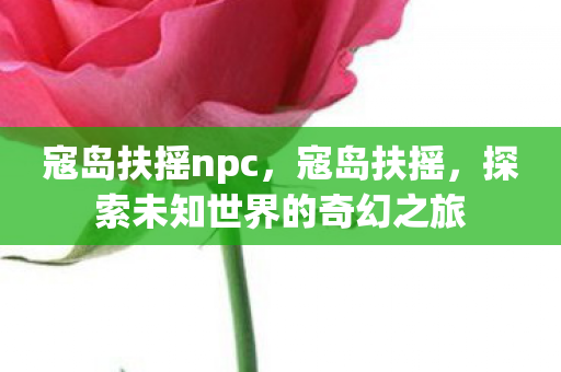 寇岛扶摇npc，寇岛扶摇，探索未知世界的奇幻之旅
