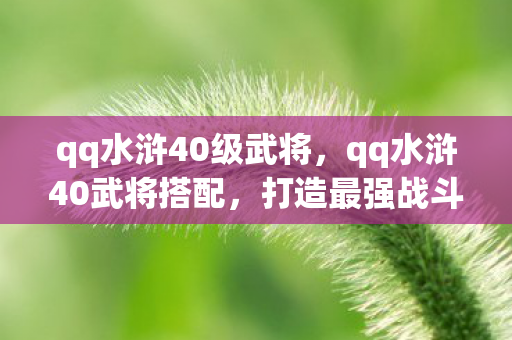 qq水浒40级武将,qq水浒40武将搭配,打造最强战斗阵容 qq水浒40级武将,qq水浒40武将搭配,打造最强战斗阵容