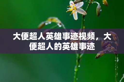 大便超人英雄事迹视频，大便超人的英雄事迹