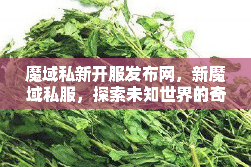 魔域私新开服发布网,新魔域私服,探索未知世界的奇妙之旅 魔域私新开服发布网,新魔域私服,探索未知世界的奇妙之旅