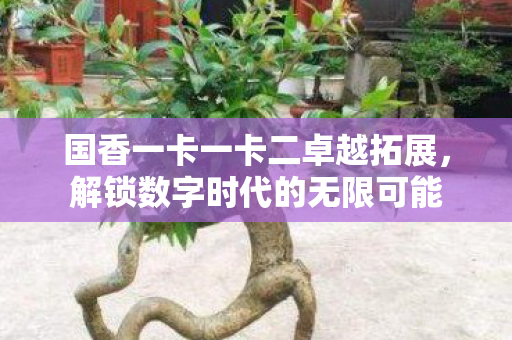 国香一卡一卡二卓越拓展，解锁数字时代的无限可能