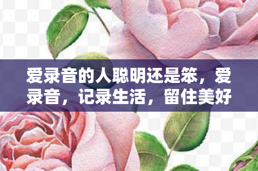 爱录音的人聪明还是笨,爱录音,记录生活,留住美好声音 爱录音的人聪明还是笨,爱录音,记录生活,留住美好声音