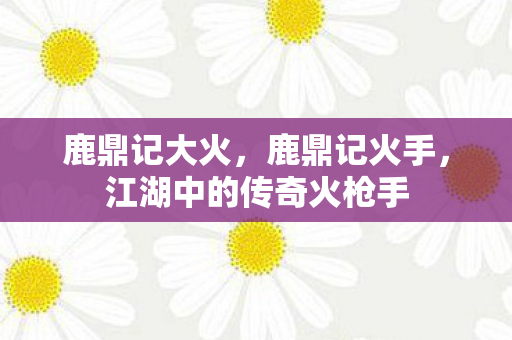 鹿鼎记大火,鹿鼎记火手,江湖中的传奇火枪手 鹿鼎记大火,鹿鼎记火手,江湖中的传奇火枪手