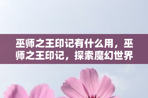 巫师之王印记有什么用,巫师之王印记,探索魔幻世界的神秘力量 巫师之王印记有什么用,巫师之王印记,探索魔幻世界的神秘力量