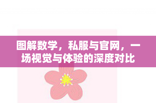 图解数学,私服与官网,一场视觉与体验的深度对比 图解数学,私服与官网,一场视觉与体验的深度对比