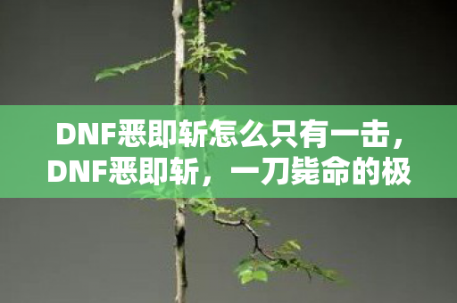 DNF恶即斩怎么只有一击,DNF恶即斩,一刀毙命的极致快感 DNF恶即斩怎么只有一击,DNF恶即斩,一刀毙命的极致快感
