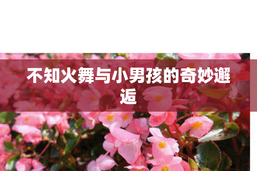 不知火舞与小男孩的奇妙邂逅 不知火舞与小男孩的奇妙邂逅