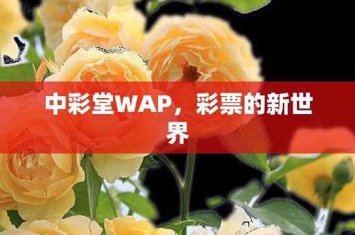 中彩堂WAP，彩票的新世界