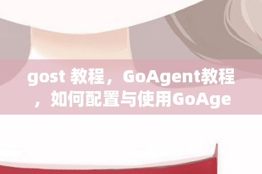 gost 教程,GoAgent教程,如何配置与使用GoAgent代理软件 gost 教程,GoAgent教程,如何配置与使用GoAgent代理软件