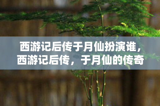 西游记后传于月仙扮演谁,西游记后传,于月仙的传奇演绎 西游记后传于月仙扮演谁,西游记后传,于月仙的传奇演绎
