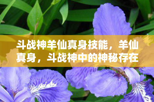 斗战神羊仙真身技能，羊仙真身，斗战神中的神秘存在