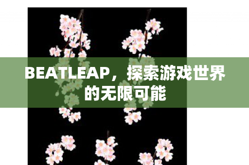 BEATLEAP,探索游戏世界的无限可能 BEATLEAP,探索游戏世界的无限可能