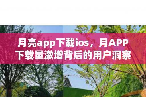 月亮app下载ios,月APP下载量激增背后的用户洞察与市场机遇 月亮app下载ios,月APP下载量激增背后的用户洞察与市场机遇