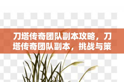 刀塔传奇团队副本攻略,刀塔传奇团队副本,挑战与策略的深度解析 刀塔传奇团队副本攻略,刀塔传奇团队副本,挑战与策略的深度解析