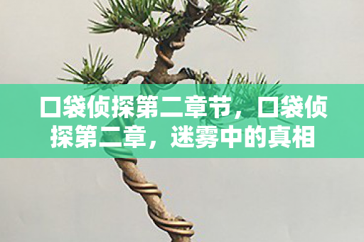 口袋侦探第二章节,口袋侦探第二章,迷雾中的真相 口袋侦探第二章节,口袋侦探第二章,迷雾中的真相