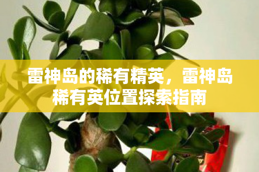 雷神岛的稀有精英，雷神岛稀有英位置探索指南